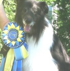 Tuxedo “Tux” Terwilliger