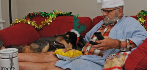 Join Our 2015 Couch Potato Walkless Puppy Up! Walk