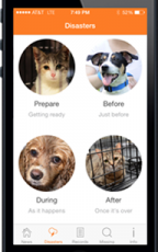 February 14 is Pet Theft Awareness Day