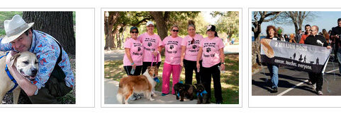 Our 2015 Puppy Up! Walks Begin This Saturday