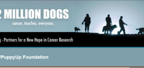 2 Million Dogs/PuppyUp July Newsletter