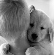 Tomorrow, February 20th is Love Your Pet Day