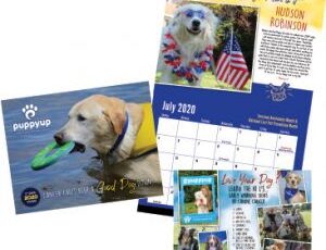 Just 2 More Days To Vote For Your Canine Cancer Heroes!