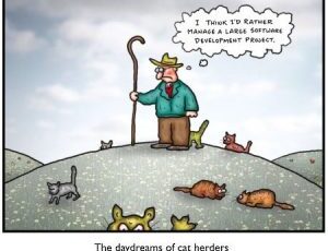 Cat Herder’s Day