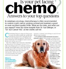 Helpful Information from Dr. Sue Ettinger