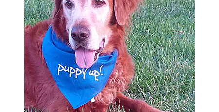 Meet Cooper, Yuba City’s Canine Cancer Hero