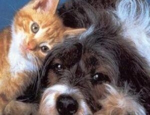 April Is National Cancer Control Month