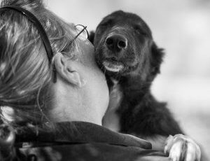 Why Losing a Pet Hurts So Much … and why the stages of grief are just as valid when your loss is an animal.