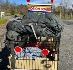 Man, and his dog walk the length of the Hudson River to bring awareness of canine cancer