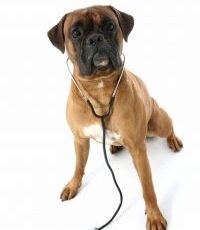 Desperation often fuels alternative medicine