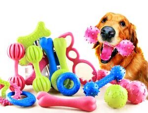 The Two Major Hazards You Need to Know About When Choosing Your Dog’s Toys