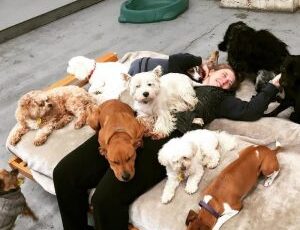 January 6th is National Cuddle Up Day