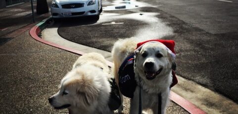 Where Are They Now? December 13