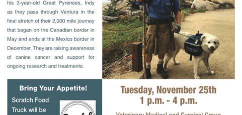 Come Meet Luke and Indy in Ventura, CA