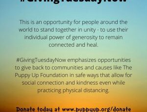 Giving Tuesday