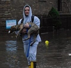 June Is National Pet Preparedness Month