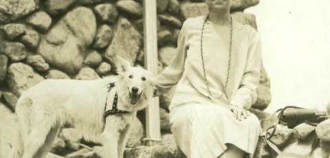 Happy Presidents’ Dogs Day