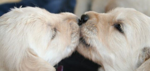 Happy Valentine’s Day