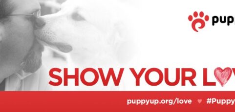 Show Your Love — Share Your Love