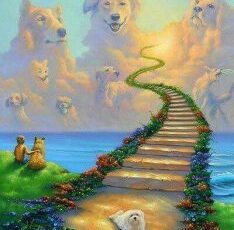 World Pet Memorial Day — Ways to Remember