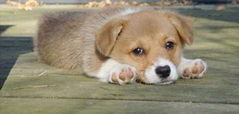 Where Are My People? Why Aren’t They Voting For Me?