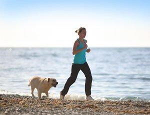 American Heart Association news: Dogs boost cardiovascular and overall health